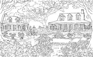 THP300BroAcadiaFINAL1